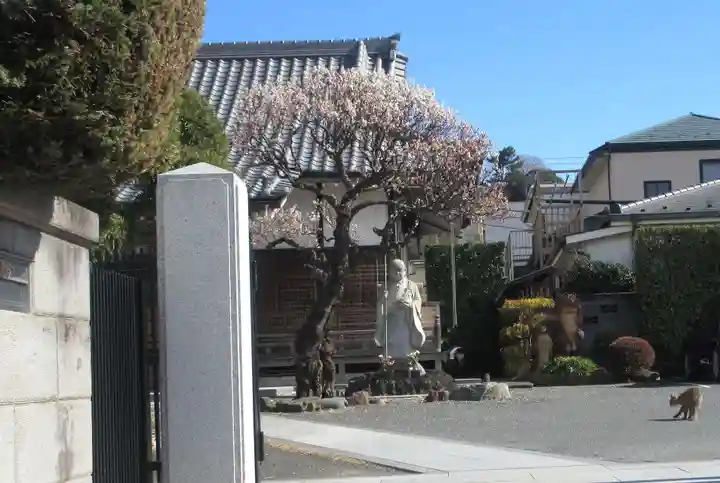 東樹院(神奈川県)