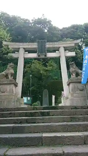 赤坂氷川神社の鳥居