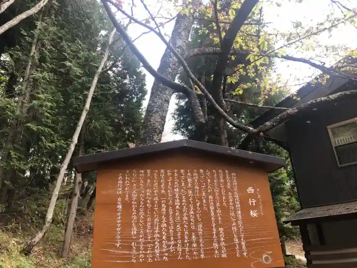 戸隠神社火之御子社の{uncategorized: "未分類", other: "その他", undefined: "問題あり", building: "その他建物", grave: "お墓", sacred_gate: "鳥居", guardian: "狛犬", statue: "像", buddha: "仏像", history: "歴史", nature: "自然", garden: "庭園", animal: "動物", pagoda: "塔", temizu: "手水舎", mountain_gate: "山門・神門", sanctuary: "本殿・本堂", subordinate: "末社・摂社", art: "芸術", scenery: "景色", jizo: "地蔵", ema: "絵馬", goshuin: "御朱印", omikuji: "おみくじ", items: "授与品その他", amulet: "お守り", goshuincho: "御朱印帳", eats: "食事", festival: "お祭り", votive_dance: "神楽", shichigosan: "七五三参", wedding: "結婚式", experience: "体験その他", initially: "初詣", around: "周辺", anti_infection: "感染症対策"}