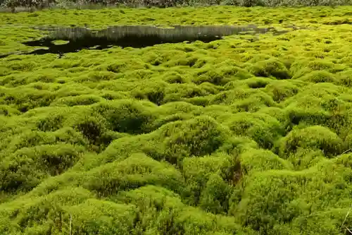 大山祇神社(高知県)