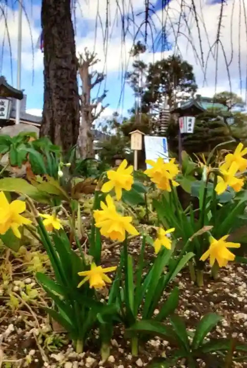 常性寺(東京都)