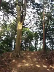 八坂神社/富士浅間神社の建物その他