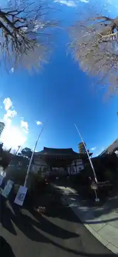 本照寺のその他建物