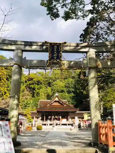 出雲大神宮の鳥居