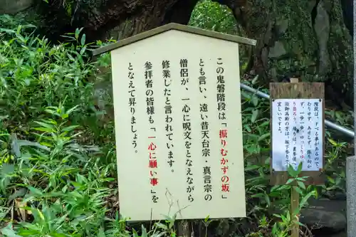 東霧島神社(宮崎県)