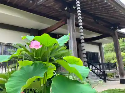 東福寺(東京都)