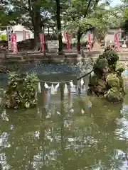 東石清水八幡神社(埼玉県)