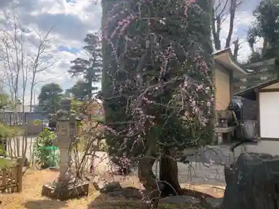 宗祐寺(神奈川県)