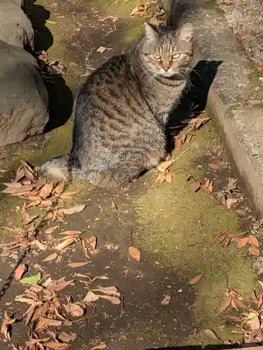 白幡八幡神社(神奈川県)