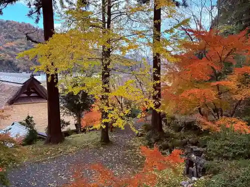 萬徳寺(福井県)