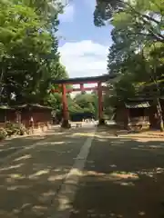 武蔵一宮氷川神社の鳥居