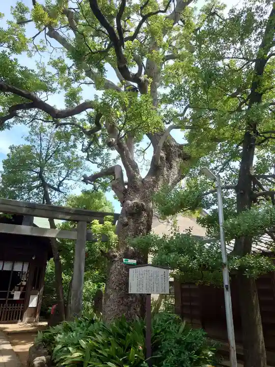 鹿嶋神社(東京都)