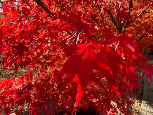 伊勢の国 四天王寺(三重県)