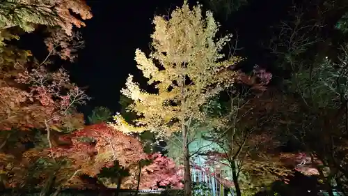 宝厳院(京都府)