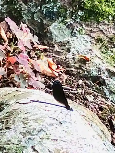 専修寺(栃木県)