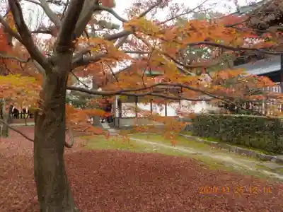 東福禅寺(東福寺)(京都府)