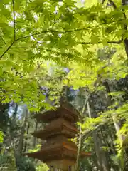 宝積山光前寺の建物その他