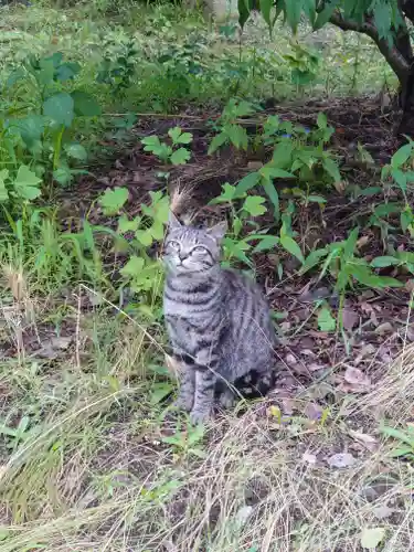 蘇我比咩神社(千葉県)