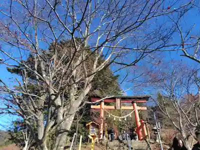 新倉富士浅間神社(山梨県)