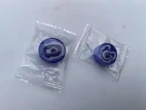 大智院（清水寺大智院）(愛知県)