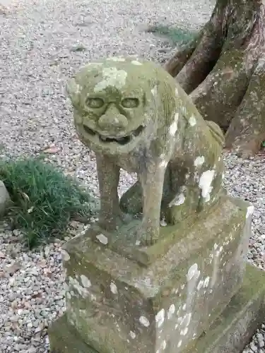 間々田八幡宮の狛犬