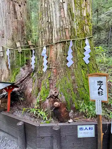 日光二荒山神社の自然