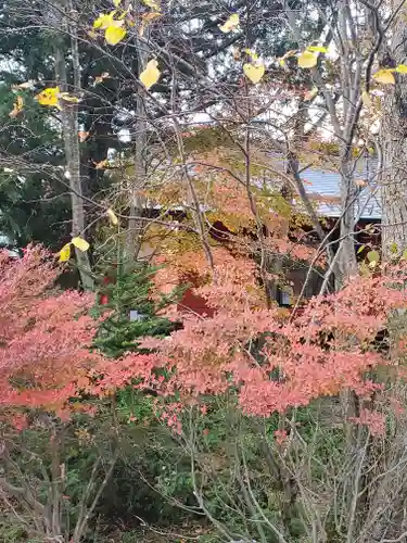赤城神社の自然
