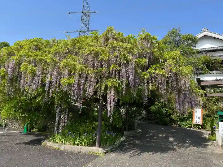 子安地蔵寺(和歌山県)