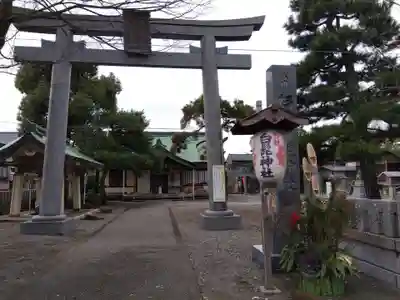 杉杜白髭神社(福井県)