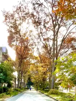 武蔵一宮氷川神社の周辺