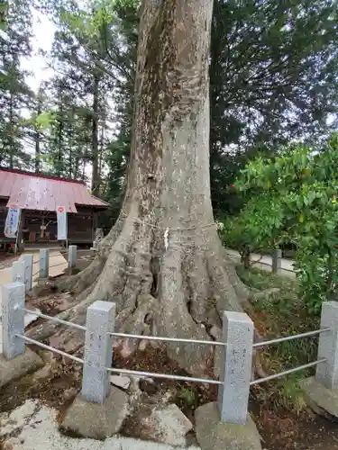 向田神社の自然