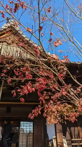勝林寺(京都府)