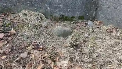 小谷石神社の{uncategorized: "未分類", other: "その他", undefined: "問題あり", building: "その他建物", grave: "お墓", sacred_gate: "鳥居", guardian: "狛犬", statue: "像", buddha: "仏像", history: "歴史", nature: "自然", garden: "庭園", animal: "動物", pagoda: "塔", temizu: "手水舎", mountain_gate: "山門・神門", sanctuary: "本殿・本堂", subordinate: "末社・摂社", art: "芸術", scenery: "景色", jizo: "地蔵", ema: "絵馬", goshuin: "御朱印", omikuji: "おみくじ", items: "授与品その他", amulet: "お守り", goshuincho: "御朱印帳", eats: "食事", festival: "お祭り", votive_dance: "神楽", shichigosan: "七五三参", wedding: "結婚式", experience: "体験その他", initially: "初詣", around: "周辺", anti_infection: "感染症対策"}