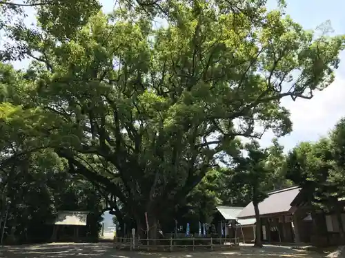 伊曽乃神社の自然