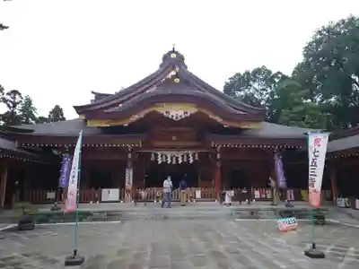 亀ケ池八幡宮の本殿・本堂