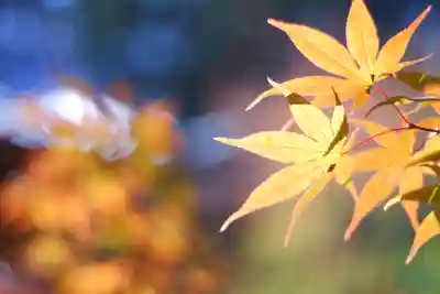 龍田大社(奈良県)