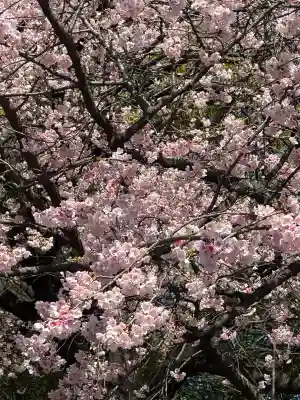 摩利支天 徳大寺の{uncategorized: "未分類", other: "その他", undefined: "問題あり", building: "その他建物", grave: "お墓", sacred_gate: "鳥居", guardian: "狛犬", statue: "像", buddha: "仏像", history: "歴史", nature: "自然", garden: "庭園", animal: "動物", pagoda: "塔", temizu: "手水舎", mountain_gate: "山門・神門", sanctuary: "本殿・本堂", subordinate: "末社・摂社", art: "芸術", scenery: "景色", jizo: "地蔵", ema: "絵馬", goshuin: "御朱印", omikuji: "おみくじ", items: "授与品その他", amulet: "お守り", goshuincho: "御朱印帳", eats: "食事", festival: "お祭り", votive_dance: "神楽", shichigosan: "七五三参", wedding: "結婚式", experience: "体験その他", initially: "初詣", around: "周辺", anti_infection: "感染症対策"}