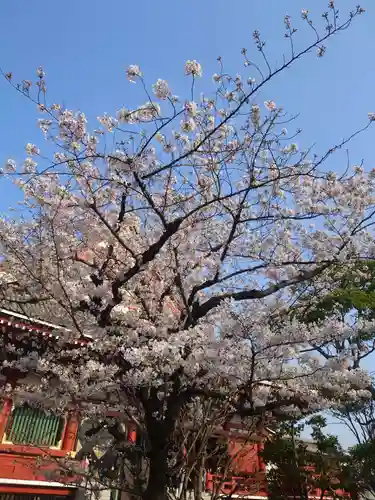 浅草寺(東京都)