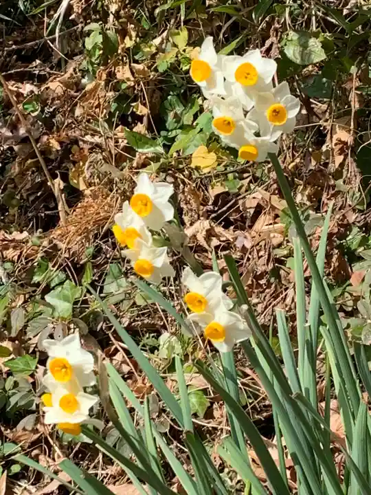 新田神社の自然
