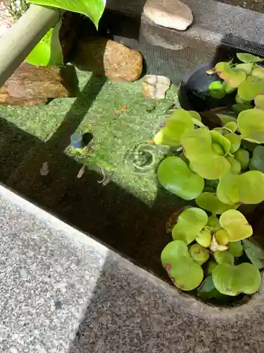 高司神社〜むすびの神の鎮まる社〜の手水