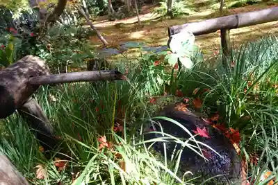 祇王寺(京都府)