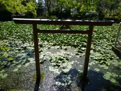 船江上社の鳥居