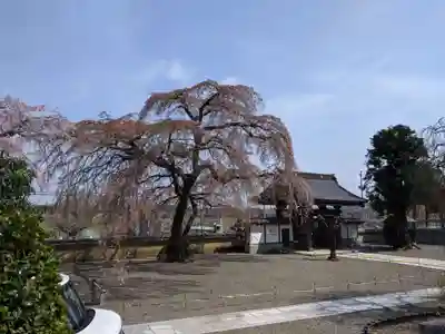 圓通寺（円通寺）のその他建物