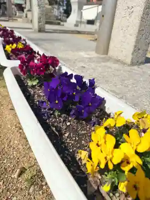 泊神社の{uncategorized: "未分類", other: "その他", undefined: "問題あり", building: "その他建物", grave: "お墓", sacred_gate: "鳥居", guardian: "狛犬", statue: "像", buddha: "仏像", history: "歴史", nature: "自然", garden: "庭園", animal: "動物", pagoda: "塔", temizu: "手水舎", mountain_gate: "山門・神門", sanctuary: "本殿・本堂", subordinate: "末社・摂社", art: "芸術", scenery: "景色", jizo: "地蔵", ema: "絵馬", goshuin: "御朱印", omikuji: "おみくじ", items: "授与品その他", amulet: "お守り", goshuincho: "御朱印帳", eats: "食事", festival: "お祭り", votive_dance: "神楽", shichigosan: "七五三参", wedding: "結婚式", experience: "体験その他", initially: "初詣", around: "周辺", anti_infection: "感染症対策"}