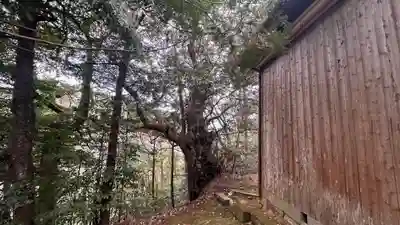 貴船神社(京都府)