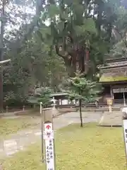 若狭彦姫神社の建物その他