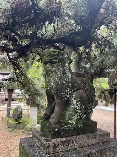 御霊神社（上御霊神社）(京都府)