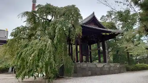 増上寺(東京都)