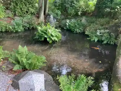 秩父今宮神社(埼玉県)