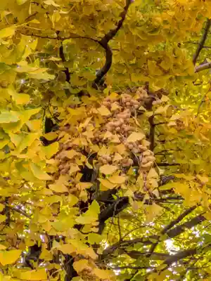 仙寿院(東京都)